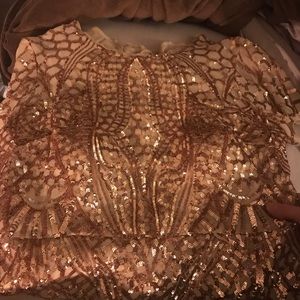 r & m richards plus size sequined godet gown